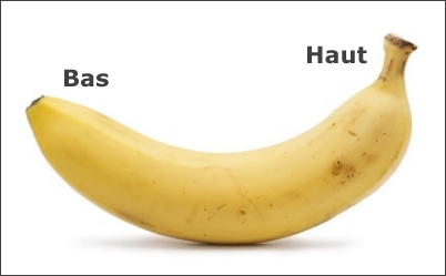 ouverture-banane.jpg