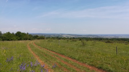 Le chemin